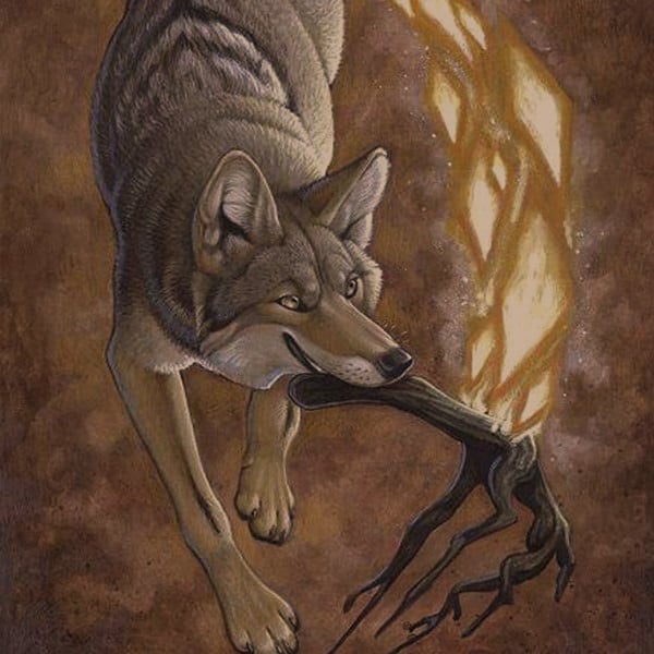 Hoe Coyote vuur stal - Myths Sagas and Fairy Tales - No Trace Crafts