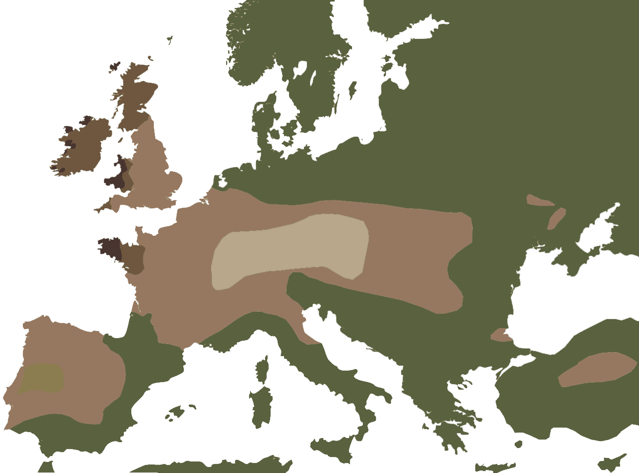 De Kelten in Europa
