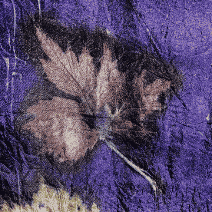 Sjaal donkerpaars met bladeren van aardbei, braam, framboos, rozenbottel en druif