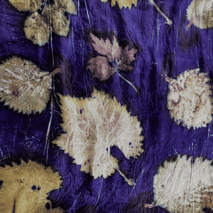Sjaal donkerpaars met bladeren van aardbei, braam, framboos, rozenbottel en druif2